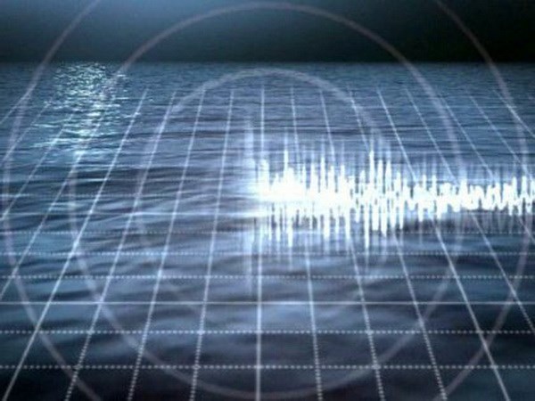 В Чили в результате сильного землетрясения были эвакуированы сотни людей